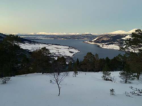 Bilde #13: Utsikt utover Rødvenfjorden og ut til Åfarnes. Til høyre i bildet sees Vesleskåla og Skåla. Til venstre sees Molde i det fjerne.