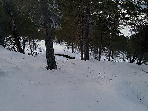 Bilde #14: På vei ned gjennom et litt bratt parti i skogen i retning Øverdalen.