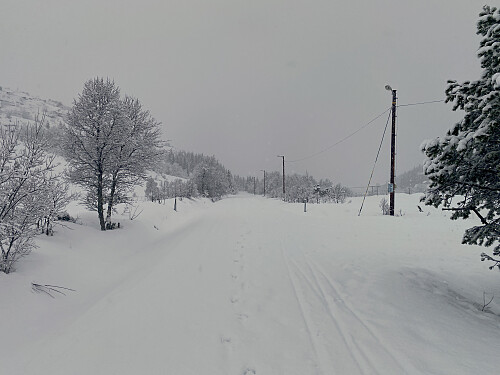 Bilde #1: Veien fra parkeringsplassen ned mot Tomresetra.