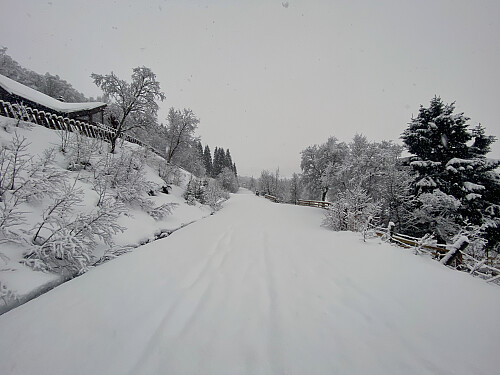 Bilde #2: Gjennom hyttefeltet på Tomresetra [275 m.o.h.].
