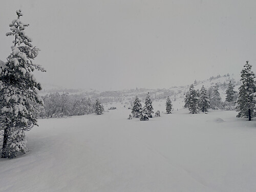 Bilde #4: Lang der fremme skal jeg opp, for så å ta til høyre, og følge hylla til høyre i bildet bort igjen til Nonsfjellet.