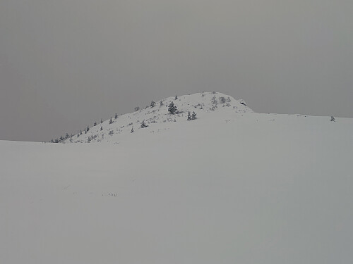 Bilde #6: Nonsfjellet [485 m.o.h.], slik det fremstår lengre til høyre på platået.