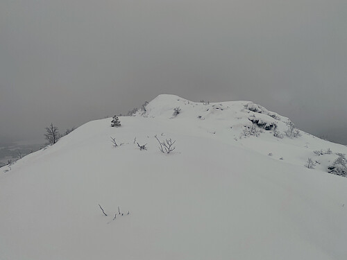 Bilde #7: Oppe på Nonsfjellet [485 m.o.h.], men med noen meter igjen bort til det høyeste punktet.
