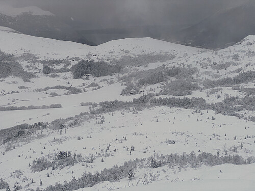 Bilde #8: Utsikt fra Nonsfjellet [485 m.o.h.] ned igjen til Tomresetra [275 m.o.h.]. Tomrefjorden skimtes såvidt i bakgrunnen.