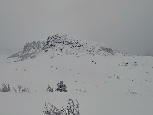 Bilde #10: Kjølen [527 m.o.h.] sett fra Nonsfjellet [485 m.o.h.].