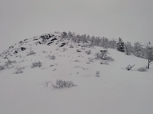 Bilde #12: Opp denne ryggen valgte jeg å gå; like til høyre for det steinete partiet. Det ser ikke så bratt ut på dette bildet, men det er ifølge Varsom-app'en over 30 grader.
