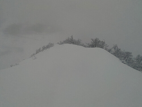 Bilde #16: Ved sørenden av Kjølen. I denne retningen skimtet jeg et kort øyeblikk skianlegget på Ørskogfjellet, men det skyet til igjen før jeg rakk å ta noe bilde. Ved dette punktet snudde jeg, og fulgte mine egne spor tilbake.