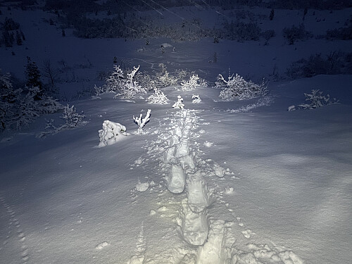 Bilde #17: Mørket er fallt på, og det er på med hodelykt. Her følger jeg mine egne spor ned igjen fra fjellet.