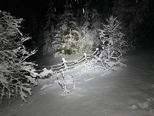 Bilde #18: Det er mange vakre vintermotiv å få øye på når man går med hodelykt i mørket. Her et sauegjerde nede ved Tomresetra [275 m.o.h.].