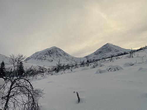 Bilde #5: Litt oppe i høyden, kom Måsvasstinden [1204 m.o.h.] og Litle Blåtind [1157 m.o.h.] fint tilsyne. Måsvasstinden til venstre, og Litle Blåtind til høyre.
