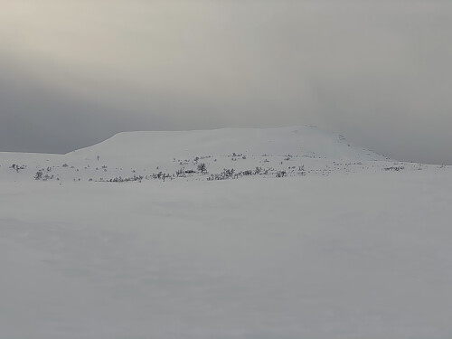Bilde #6: Og her rager Nebba, fjellet jeg skal opp på, en del høyere enn det hei-landskapet jeg er på vei oppover. Selve toppen ligger imidlertid bakom til venstre.