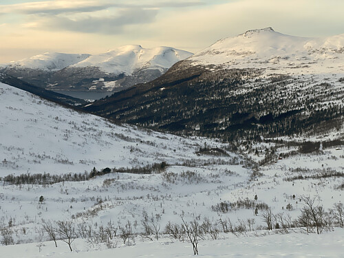 Bilde #4: Tilbakeblikk nedover Mittetdalen, og med Skrokkensetra til høyre i bildet. Her nærmer jeg meg Måsskaret. På høyre side av dalen sees Heimre Rjuptinden [968 m.o.h.].