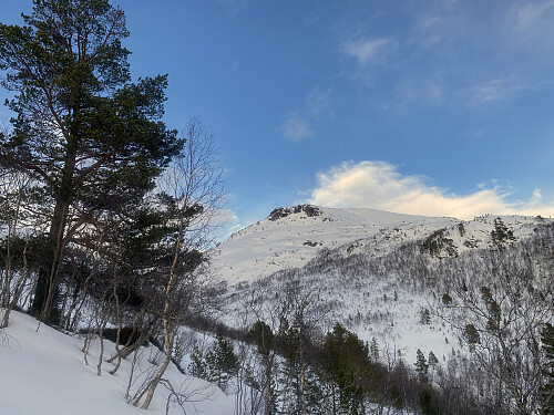 Bilde #4: Utsikt over mot Skåla, på andre sida av Horsgårddalen; men det vi ser øverst oppe er en knaus, selve toppen er ennå ikke kommet tilsyne...