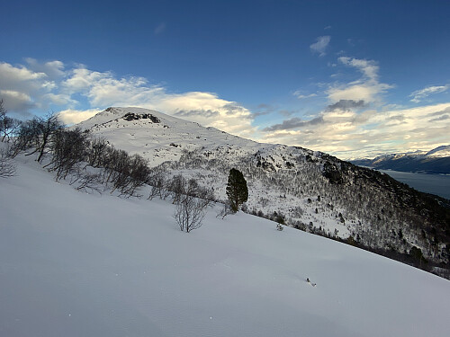 Bilde #5: ...men her er også selve toppen på Skåla [1127 m.o.h.] kommet til syne. Knausen nedenfor kalles Klempen [620 m.o.h.]. Til høyre i bildet sees Langfjorden.