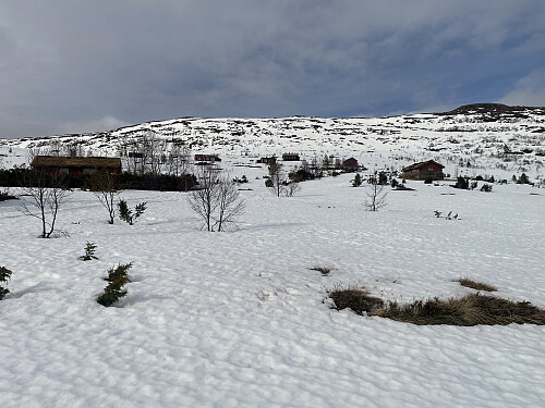 Bilde #1: Ved Høgsætra [400 m.o.h.].