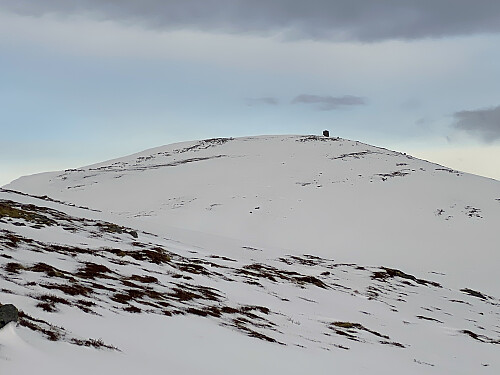 Bilde #6: Frostadvarden er kommet tilsyne foran oss. Det var litt avblåst på Vardtua, så vi holdt oss til høyre, litt nedi fjellsida, der det var mer snø.
