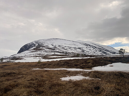 Bilde #1: Utsikt mot Tarløysa fra Nysætra. Jeg hadde forventet noe mer snø oppover fjellsida her, for det ligger fortsatt en del snø i fjellene ellers i denne høyden; men Tarløysa er ganske utsatt for vind, slik at mye av snøen ikke alltid legger seg.
