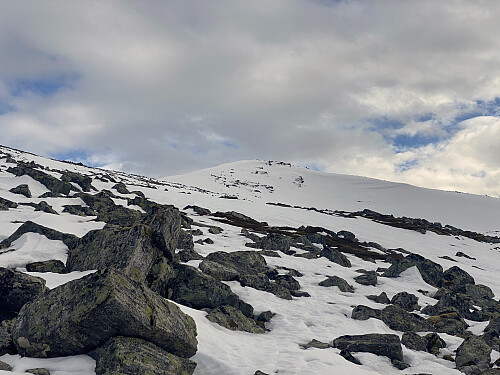Bilde #6: På midtryggen. Her var det vi måtte av med skiene, og bære dem 30-40 meter bortover, før vi kunne ta dem på igjen. Toppen sees i bakgrunnen av bildet.