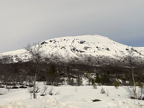 Bilde #3: Fjellet jeg har tenkt meg opp på. Man ser imidlertid ikke selve toppen her nede fra parkeringsplassen.