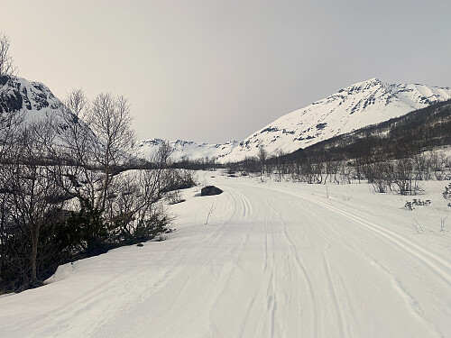 Bilde #5: Langs tråkket skispor mellom Bøstølen og Litlevatnet [575 m.o.h.]. Når det er nok snø, hender det at skispor blir kjørt opp like frem til Pusken i Stordalen.