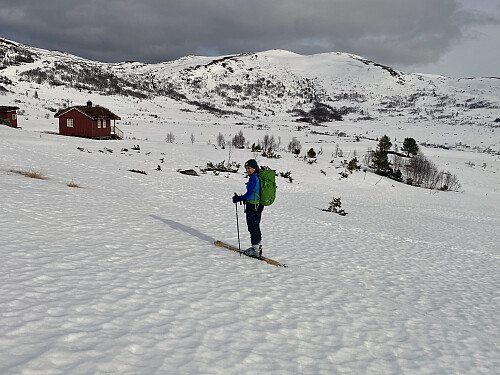 Bilde #2: På Høgsetra [400 m.o.h.] med Frostadtinden [807 m.o.h.] i bakgrunnen.