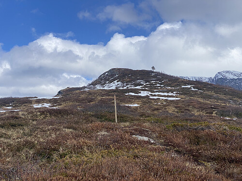 Bilde #5: Toppen på Kinnakollen [729 m.o.h.] kommer til syne. Men her oppe blåste det mye mer enn man får inntrykk av på bildet.