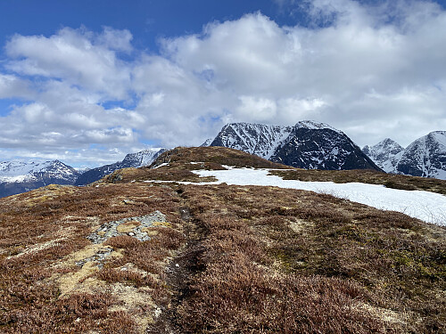 Bilde #6: Jeg nærmer meg toppen på Kinnakollen. I bakgrunnen sees Gråfonnfjellet [1481 m.o.h.].