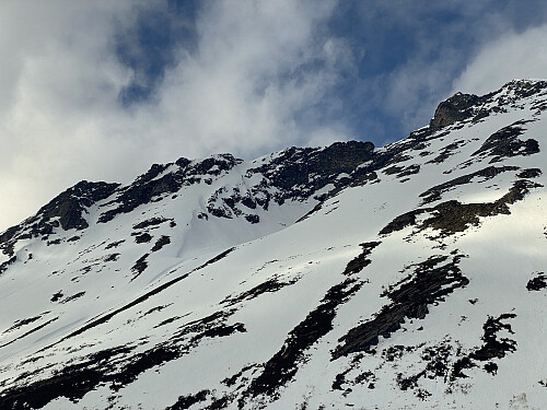 Bilde #12: Gullkoppen [1000-1300 m.o.h.] på Middagstinden [1568 m.o.h.] sett fra Kinnakollen.