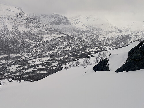 Bilde #8: Utsikt innover dalen mot Bøstølen [420 m.o.h.] og Tuten [480 m.o.h.].