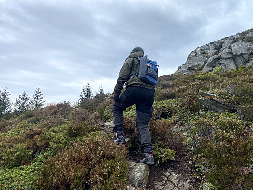 Bilde #2: ...men etter ca. 200 meter, tok vi av på en sti, hvor det stod skiltet "Drynjahatten 1,5 km".