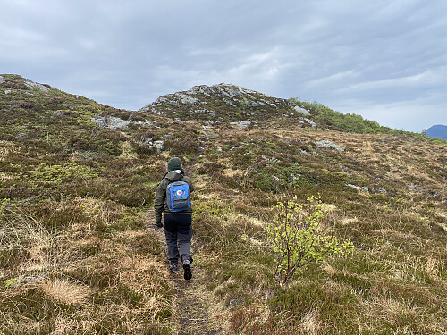 Bilde #3: Drynjahatten har en sørvest-rygg, en øst-rygg og en nord-rygg; og vi kom nå gående opp langsetter vestryggen.