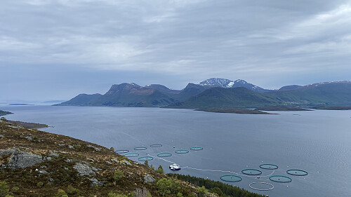 Bilde #8: Utsikt mot Rekdalshesten [782], Urfjellet [757], Byrkjevollhornet [708], Blåskjæringen [1069], Tindfjellet [960], Hellenakken [454] og Grødet [693 m.o.h.].