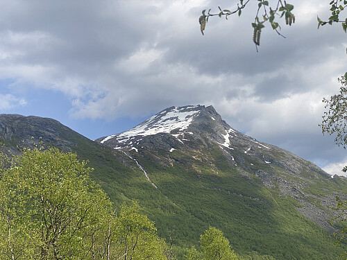 Bilde #1: Hadde jeg vært to uker tidligere ute, kunne jeg gått med ski på sekk opp till Lille Middagstinden [943 m.o.h.], og så gått på ski videre opp derfra. Denne dagen var det imidlertid i minste laget med snø videre oppover også.
