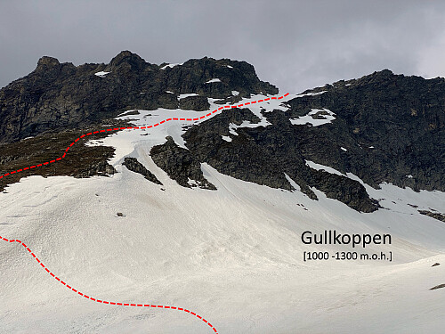 Bilde #5: Mitt trasévalg fra inngangen til Gullkoppen [ca. 1000 m.o.h.], opp til kanten høyt oppe på sørsida av Gullkoppen, ca. 1375 m.o.h.