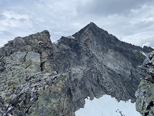 Bilde #15: Utsikt tvers over Gullkoppen bort på toppen av fjellet [1568 m.o.h.].