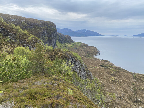 Bilde #12: Utsikt langsetter strandlinja på utsida av øya, dvs. den veien vi tenkte å følge tilbake til ferjekaia.