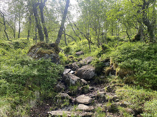 Bilde #1: Parti fra stien oppover fra Øvstedalen mot Dalsvatnet og Dalsbotnen.