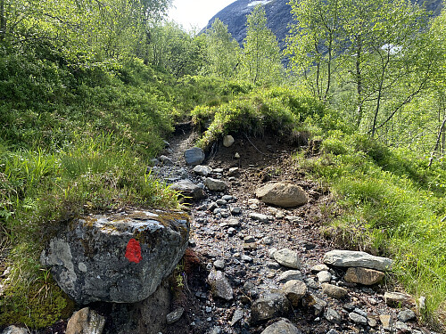 Bilde #3: Stien opp til Storskorka [861 m.o.h.] er rødmerket.