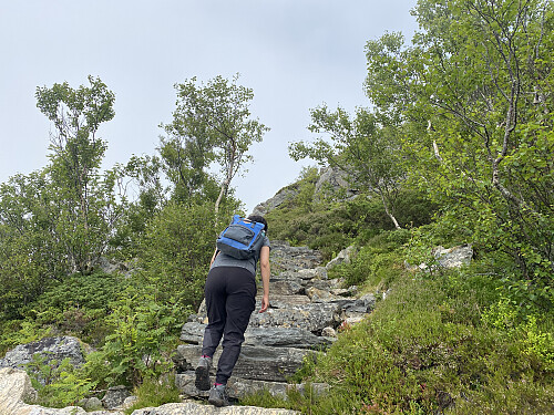 Bilde #1: På vei opp trappene.