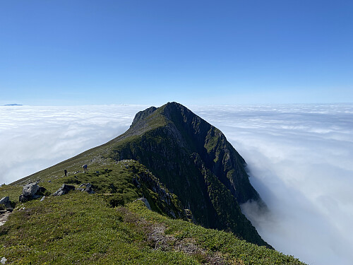 Bilde #11: Tilbakeblikk mot Rørsethornet [659 m.o.h.].