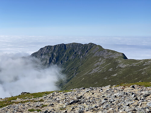 Bilde #13: Nok et tilbakeblikk mot Rørsethornet [659 m.o.h.].