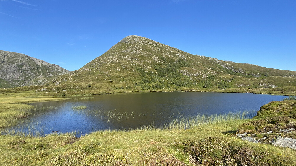 Bilde #20: Lomtjørna [434 m.o.h.], med Foksåta [632 m.o.h.] i bakgrunnen.