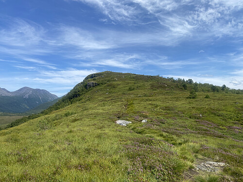 Bilde #2: Her er jeg kommet litt opp i høyden, og mer av fjellet er kommet til syne. Man kan se en varde der fremme, men heller ikke dette er toppunktet på Nyseternakken. Toppen ligger ennå litt lengre frem.
