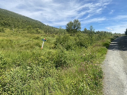 Bilde 9: Det er godt skiltet der stien til Varguraksla tar av fra Måslivegen.