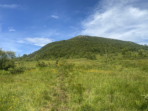 Bilde #10: Varguraksla [773 m.o.h.] i sikte.