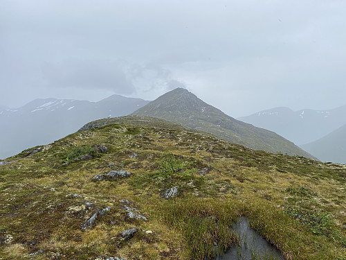 Bilde #7: Godt oppe på selve hovedryggen av Kammen, med utsikt mot toppen (bildet er tatt fra PBE "Nordaust for Kamben" [974 m.o.h.]).