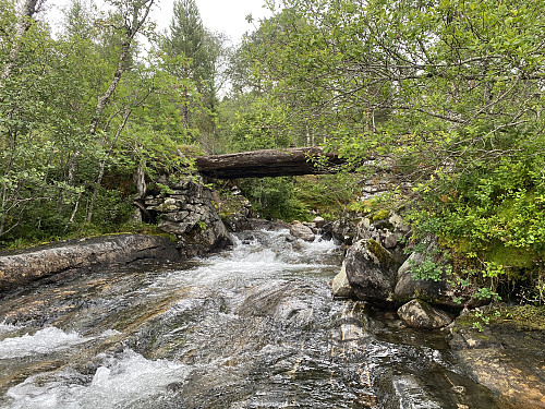 Bilde #6: Etter knapt 1 kms gange, kommer man til ei litt enklere bru over Hoemselva.