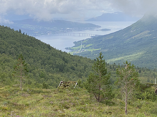 Bilde #8: Utsikt fra Hoemssetra mot Tresfjorden og Tresfjordbrua.