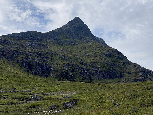 Bilde #5: Den første toppen, "Neremstindan Utsiktspunkt" [981m.o.h.], er kommet til syne...