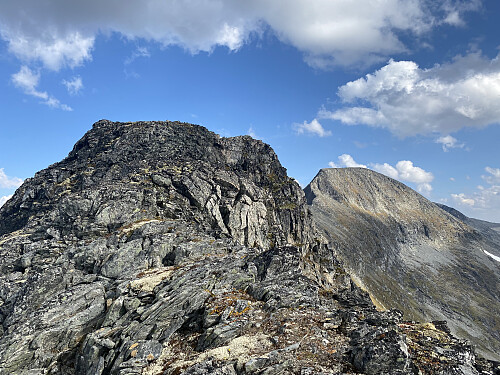Bilde #12: Snart oppe på Skarfjellet V1 [1582 m.o.h.]., med hovedtoppen [1723 m.o.h.] til høyre i bildet.